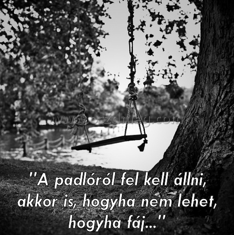 "A padlóról fel kell állni "A padlóról fel kell állni