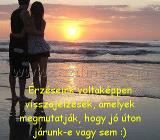 Érzéseink voltaképpen visszajelzések, amelyek Érzéseink voltaképpen visszajelzések, amelyek
Érzéseink voltaképpen visszajelzések, amelyek megmutatják, hogy jó úton járunk-e vagy sem :)