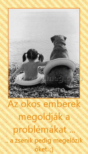 Az okos emberek megoldják a problémákat ... Az okos emberek megoldják a problémákat ...
.. a zsenik pedig megelőzik őket. ;)