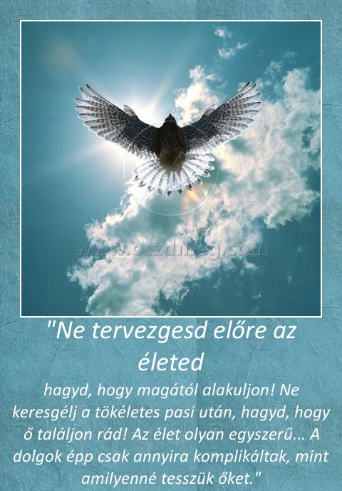 "Ne tervezgesd előre az életed
 
hagyd, hogy magától alakuljon! Ne keresgélj a tökéletes pasi után, hagyd, hogy ő találjon rád! Az élet olyan egyszerű... A dolgok épp csak annyira komplikáltak, mint amilyenné tesszük őket.