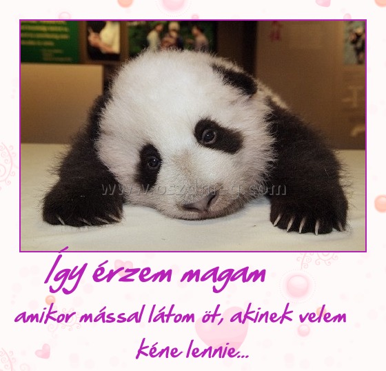 Így érzem magam Így érzem magam
amikor mással látom öt, akinek velem kéne lennie...