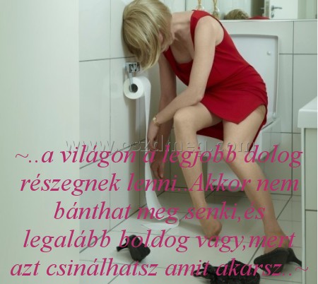 ~..a világon a legjobb ~..a világon a legjobb
~..a világon a legjobb dolog részegnek lenni..Akkor nem bánthat meg senki,és legalább boldog vagy,mert azt csinálhatsz amit akarsz..~