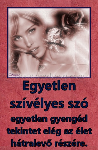 Egyetlen szívélyes szó Egyetlen szívélyes szó
egyetlen gyengéd tekintet elég az élet hátralevő részére.