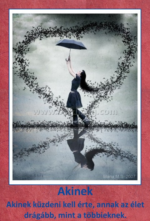 Akinek Akinek
Akinek küzdeni kell érte, annak az élet drágább, mint a többieknek.