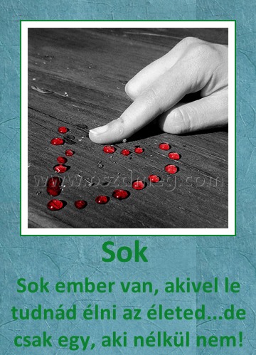 Sok Sok
Sok ember van, akivel le tudnád élni az életed...de csak egy, aki nélkül nem!