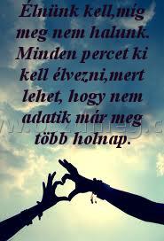 Élnünk kell Élnünk kell
Élnünk kell,míg meg nem halunk. Minden percet ki kell élvezni,mert lehet, hogy nem adatik már meg több holnap.