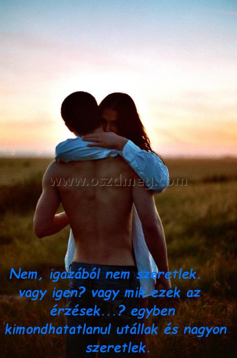 Nem Nem
Nem, igazából nem szeretlek. vagy igen? vagy mik ezek az érzések...? egyben kimondhatatlanul utállak és nagyon szeretlek.