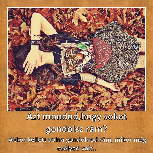 Azt mondod,hogy sokat gondolsz rám? Azt mondod,hogy sokat gondolsz rám?
Akkor kellett volna gondolnod rám, mikor még esélyed volt..