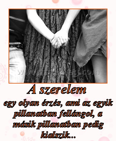 A szerelem A szerelem
egy olyan érzés, ami az egyik pillanatban fellángol, a másik pillanatban pedig kialszik...