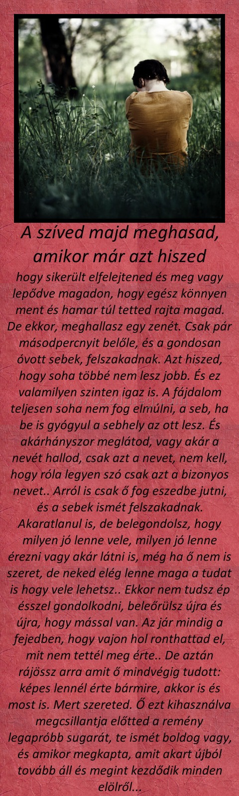 A szíved majd meghasad, amikor már azt hiszed A szíved majd meghasad, amikor már azt hiszed
hogy sikerült elfelejtened és meg vagy lepődve magadon, hogy egész könnyen ment és hamar túl tetted rajta magad. De ekkor, meghallasz egy zenét. Csak pár másodpercnyit belőle, és a gondosan óvott sebek, felszakadnak. Azt hiszed, hogy soha többé nem lesz jobb. És ez valamilyen szinten igaz is. A fájdalom teljesen soha nem fog elmúlni, a seb, ha be is gyógyul a sebhely az ott lesz. És akárhányszor meglátod, vagy akár a nevét hallod, csak azt a nevet, nem kell, hogy róla legyen szó csak azt a bizonyos nevet.. Arról is csak ő fog eszedbe jutni, és a sebek ismét felszakadnak. Akaratlanul is, de belegondolsz, hogy milyen jó lenne vele, milyen jó lenne érezni vagy akár látni is, még ha ő nem is szeret, de neked elég lenne maga a tudat is hogy vele lehetsz.. Ekkor nem tudsz ép ésszel gondolkodni, beleőrülsz újra és újra, hogy mással van. Az jár mindig a fejedben, hogy vajon hol ronthattad el, mit nem tettél meg érte.. De aztán rájössz arra amit ő mindvégig tudott: képes lennél érte bármire, akkor is és most is. Mert szereted. Ő ezt kihasználva megcsillantja előtted a remény legapróbb sugarát, te ismét boldog vagy, és amikor megkapta, amit akart újból tovább áll és megint kezdődik minden elölről...