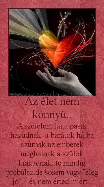 Az élet nem könnyű.. Az élet nem könnyű..
A szerelem fáj,a pasik hazudnak..a barátok hátba szúrnak,az emberek meghalnak,a szülők kiakadnak..te mindig próbálsz,de sosem vagy ˝elég jó˝ .. és nem érted miért..