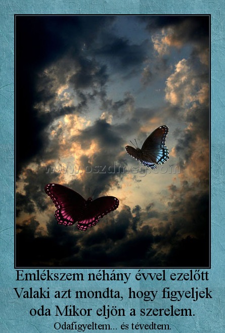 Emlékszem néhány évvel ezelőtt Valaki azt mondta, hogy figyeljek oda Mikor eljön a szerelem. Emlékszem néhány évvel ezelőtt Valaki azt mondta, hogy figyeljek oda Mikor eljön a szerelem.
Odafigyeltem... és tévedtem.