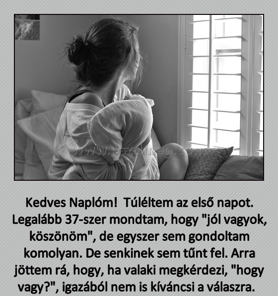 Kedves Naplóm! Túléltem az első napot. Legalább 37-szer mondtam, hogy
