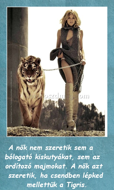 A nők A nők
A nők nem szeretik sem a bólogató kiskutyákat, sem az ordítozó majmokat. A nők azt szeretik, ha csendben lépked mellettük a Tigris.
