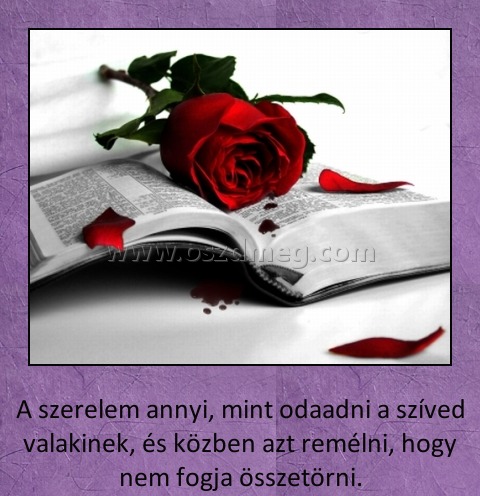 A szerelem annyi A szerelem annyi
A szerelem annyi, mint odaadni a szíved valakinek, és közben azt remélni, hogy nem fogja összetörni.