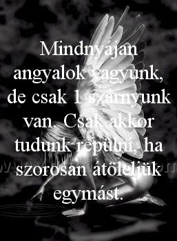 Mindnyájan angyalok vagyunk Mindnyájan angyalok vagyunk
Mindnyájan angyalok vagyunk, de csak 1 szárnyunk van. Csak akkor tudunk repülni, ha szorosan átöleljük egymást.