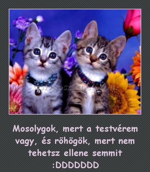 Mosolygok, mert a testvérem vagy
 
Mosolygok, mert a testvérem vagy, és röhögök, mert nem tehetsz ellene semmit :DDDDDDD