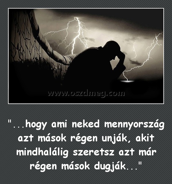 Ami neked mennyország
 
