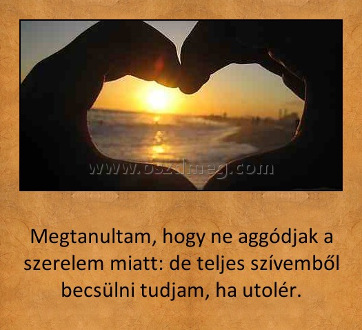 Megtanultam
 
Megtanultam, hogy ne aggódjak a szerelem miatt: de teljes szívemből becsülni tudjam, ha utolér.