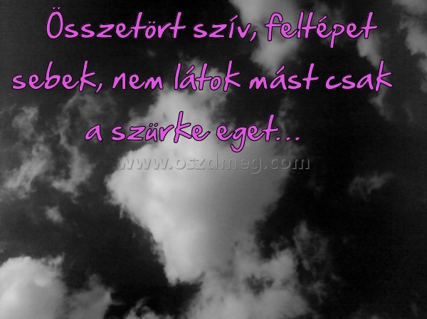 Összetört szív
 
Összetört szív, feltépet sebek, nem látok mást csak a szürke eget…