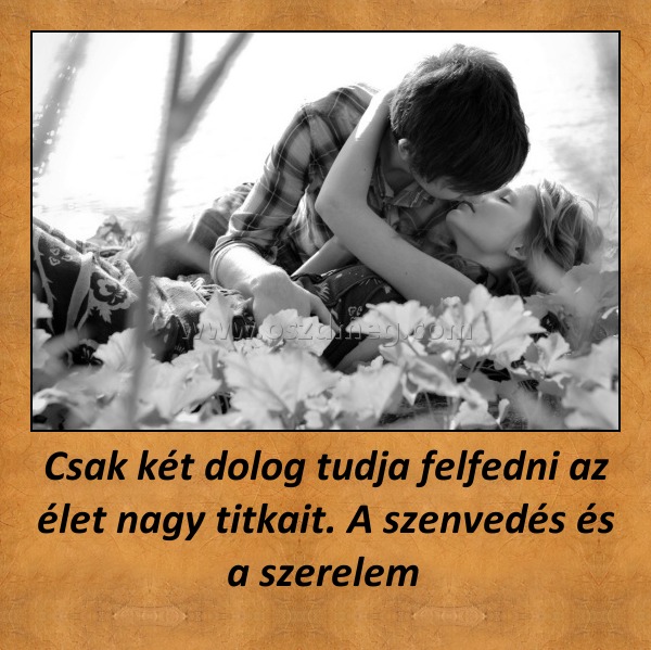 Csak két dolog tudja felfedni az élet nagy titkait. A szenvedés és a szerelem Csak két dolog tudja felfedni az élet nagy titkait. A szenvedés és a szerelem