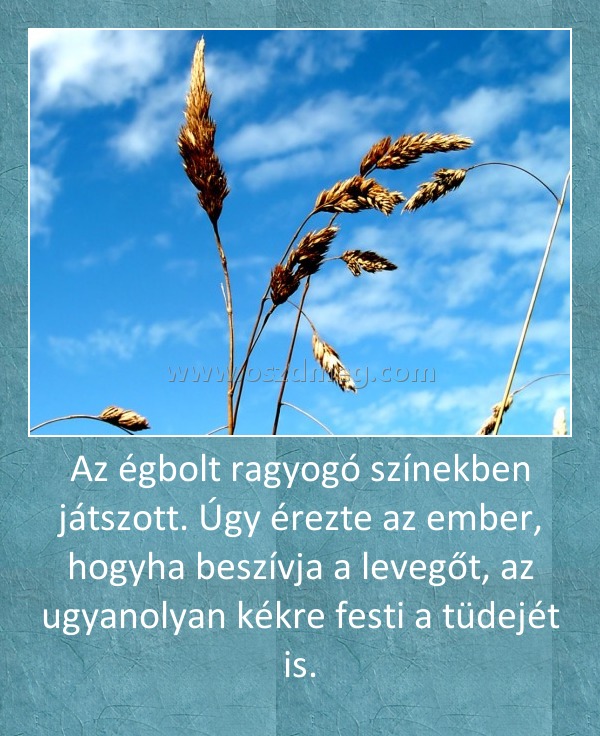 Az égbolt ragyogó színekben játszott. Úgy érezte az ember, hogyha beszívja a levegőt, az ugyanolyan kékre festi a tüdejét is. Az égbolt ragyogó színekben játszott. Úgy érezte az ember, hogyha beszívja a levegőt, az ugyanolyan kékre festi a tüdejét is.