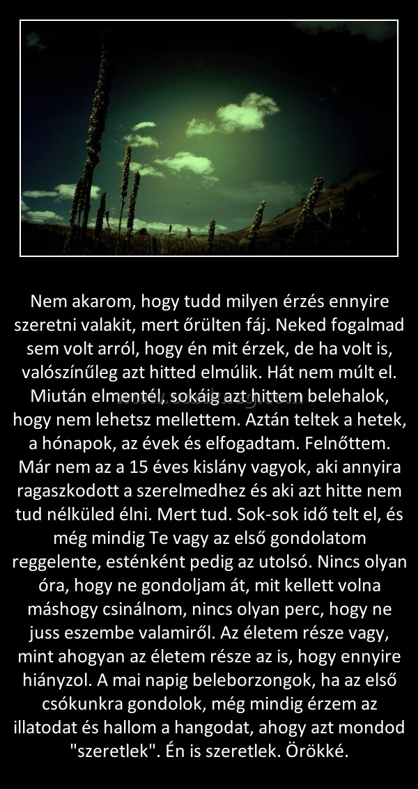 Nem akarom Nem akarom
Nem akarom, hogy tudd milyen érzés ennyire szeretni valakit, mert őrülten fáj. Neked fogalmad sem volt arról, hogy én mit érzek, de ha volt is, valószínűleg azt hitted elmúlik. Hát nem múlt el. Miután elmentél, sokáig azt hittem belehalok, hogy nem lehetsz mellettem. Aztán teltek a hetek, a hónapok, az évek és elfogadtam. Felnőttem. Már nem az a 15 éves kislány vagyok, aki annyira ragaszkodott a szerelmedhez és aki azt hitte nem tud nélküled élni. Mert tud. Sok-sok idő telt el, és még mindig Te vagy az első gondolatom reggelente, esténként pedig az utolsó. Nincs olyan óra, hogy ne gondoljam át, mit kellett volna máshogy csinálnom, nincs olyan perc, hogy ne juss eszembe valamiről. Az életem része vagy, mint ahogyan az életem része az is, hogy ennyire hiányzol. A mai napig beleborzongok, ha az első csókunkra gondolok, még mindig érzem az illatodat és hallom a hangodat, ahogy azt mondod