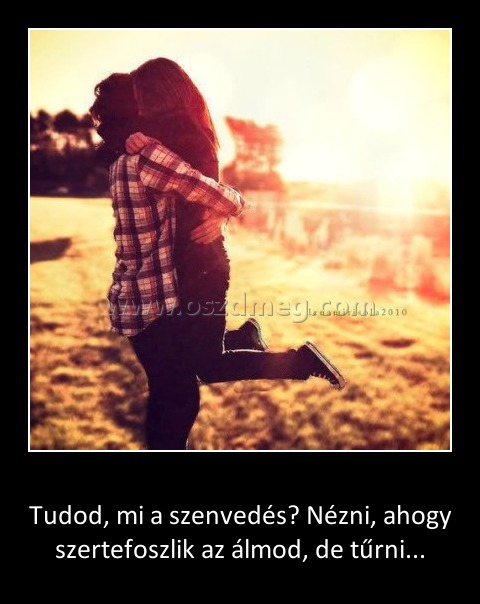 Tudod, mi a szenvedés
 
Tudod, mi a szenvedés? Nézni, ahogy szertefoszlik az álmod, de tűrni...