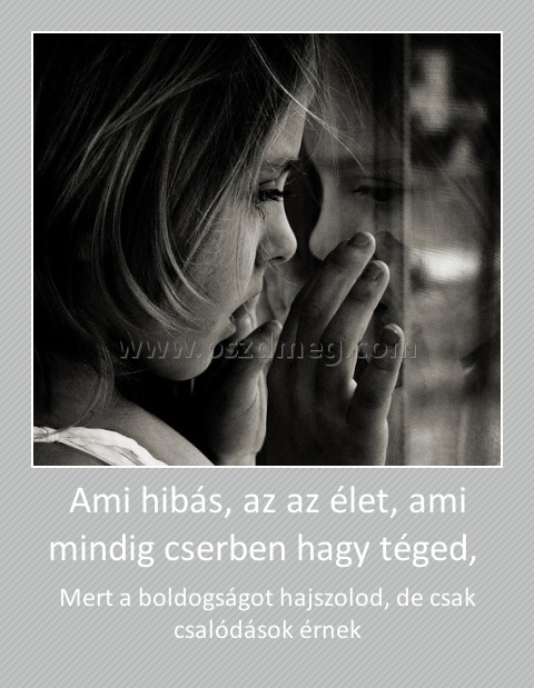 Ami hibás, az az élet, ami mindig cserben hagy téged, 
 
Mert a boldogságot hajszolod, de csak csalódások érnek