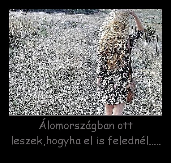 Álomországban ott leszek,hogyha el is felednél.....
 
