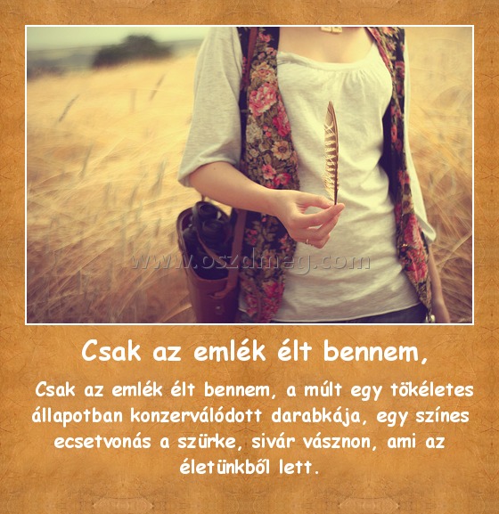  Csak az emlék élt bennem,
 
 Csak az emlék élt bennem, a múlt egy tökéletes állapotban konzerválódott darabkája, egy színes ecsetvonás a szürke, sivár vásznon, ami az életünkből lett.