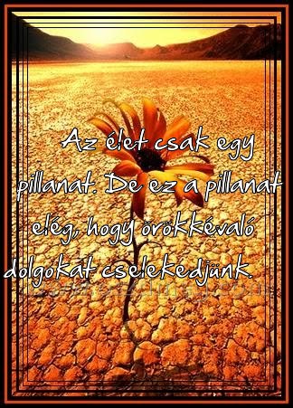 Az élet csak egy Az élet csak egy
Az élet csak egy pillanat. De ez a pillanat elég, hogy örökkévaló dolgokat cselekedjünk.