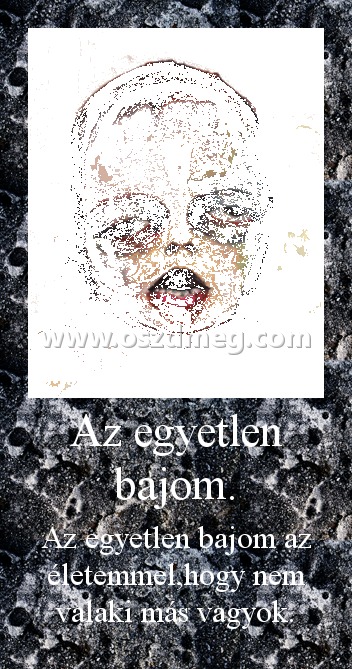 Az egyetlen bajom.
 
Az egyetlen bajom az életemmel,hogy nem valaki más vagyok.