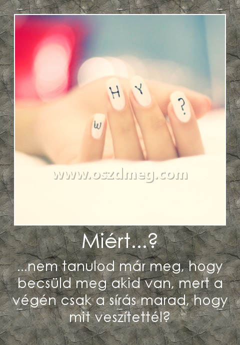 Miért...? Miért...?
...nem tanulod már meg, hogy becsüld meg akid van, mert a végén csak a sírás marad, hogy mit veszítettél?