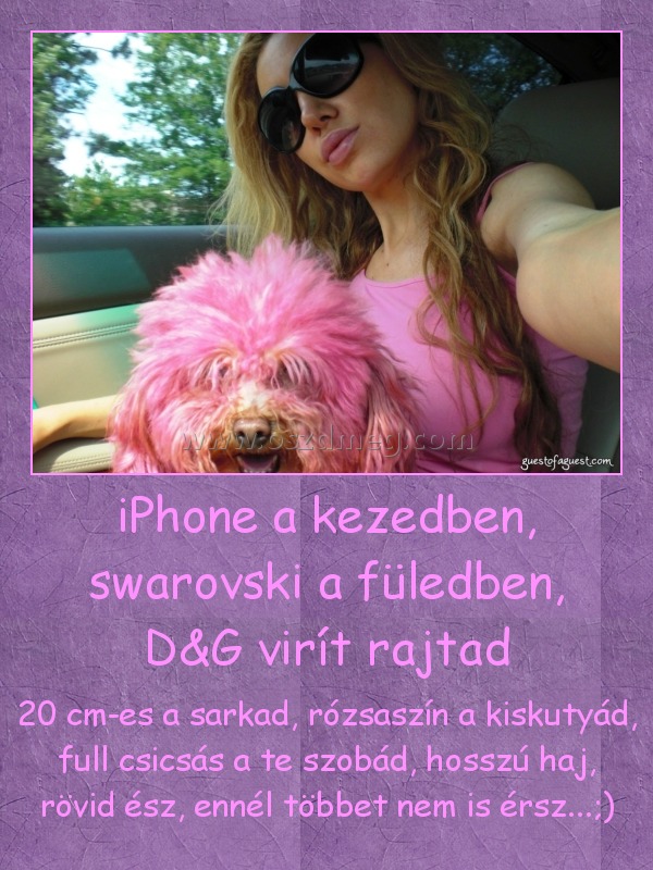 iPhone a kezedben, swarovski a füledben, D&G virít rajtad iPhone a kezedben, swarovski a füledben, D&G virít rajtad
20 cm-es a sarkad, rózsaszín a kiskutyád, full csicsás a te szobád, hosszú haj, rövid ész, ennél többet nem is érsz...;)