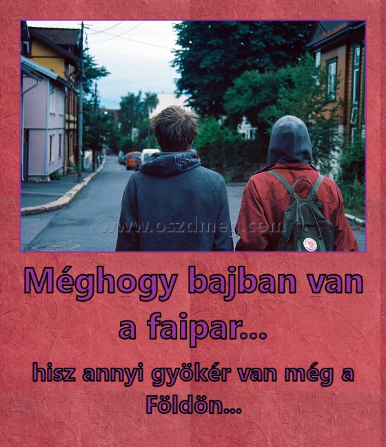 Méghogy bajban van a faipar... Méghogy bajban van a faipar...
hisz annyi gyökér van még a Földön...