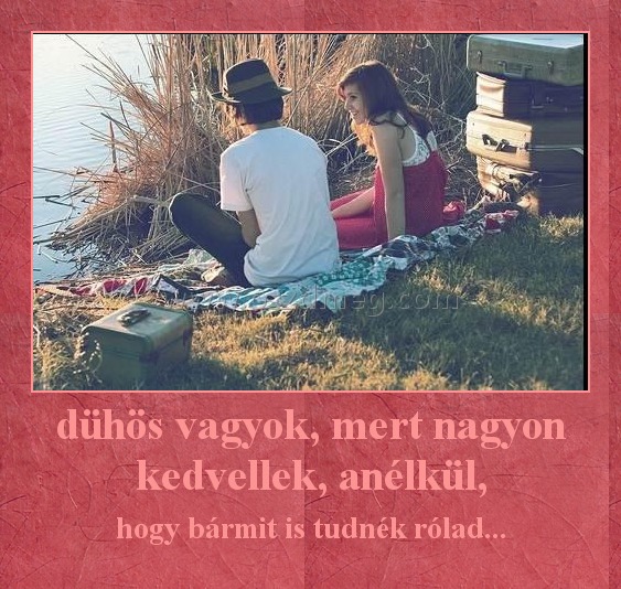 dühös vagyok, mert nagyon kedvellek, anélkül, dühös vagyok, mert nagyon kedvellek, anélkül,
hogy bármit is tudnék rólad...