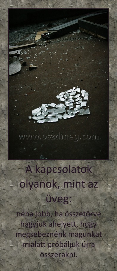 A kapcsolatok olyanok, mint az üveg: A kapcsolatok olyanok, m
004a2f
int az üveg:
néha jobb, ha összetörve hagyjuk ahelyett, hogy megsebeznénk magunkat mialatt próbáljuk újra összerakni.