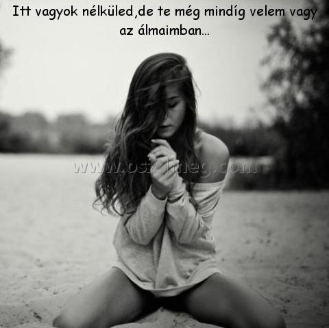 Itt vagyok nélküled Itt vagyok nélküled
Itt vagyok nélküled,de te még mindíg velem vagy az álmaimban...