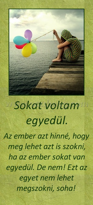 Sokat voltam egyedül.
 
Az ember azt hinné, hogy meg lehet azt is szokni, ha az ember sokat van egyedül. De nem! Ezt az egyet nem lehet megszokni, soha! 