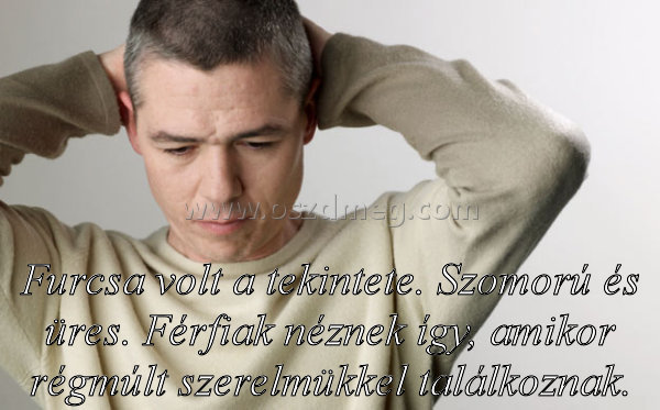 Furcsa volt a tekintete.
 
Furcsa volt a tekintete. Szomorú és üres. Férfiak néznek így, amikor régmúlt szerelmükkel találkoznak.