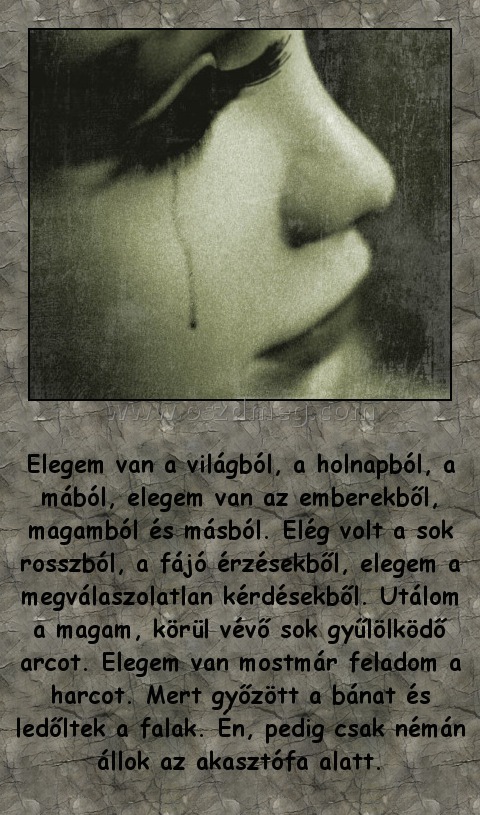 Elegem van a világból
 
