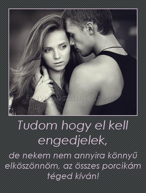 Tudom hogy el kell engedjelek, Tudom hogy el kell engedjelek,
de nekem nem annyira könnyű elköszönnöm, az összes porcikám téged kíván!