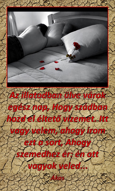 Az illatodban ülve várok egész nap, Hogy szádban hozd el éltető vizemet. Itt vagy velem, ahogy írom ezt a sort, Ahogy szemedhez ér: én ott vagyok veled...
 
Ákos