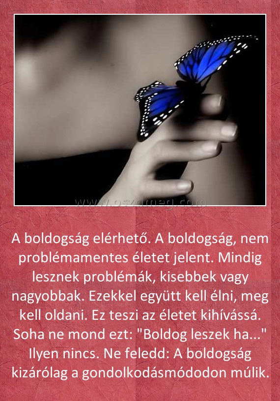 A boldogság elérhető
 
