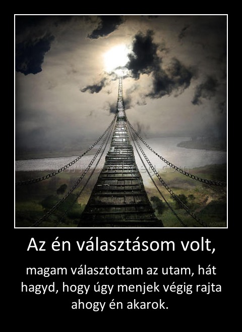 Az én választásom volt,
 
magam választottam az utam, hát hagyd, hogy úgy menjek végig rajta ahogy én akarok. 