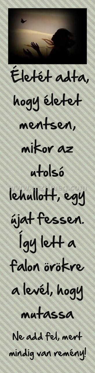 Életét adta, hogy életet mentsen, mikor az utolsó lehullott, egy újat fessen. Így lett a falon örökre a levél, hogy mutassa Életét adta, hogy életet mentsen, mikor az utolsó lehullott, egy újat fessen. Így lett a falon örökre a levél, hogy mutassa
Ne add fel, mert mindig van remény!