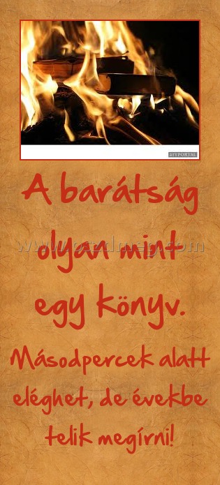 A barátság olyan mint egy könyv. A barátság olyan mint egy könyv.
Másodpercek alatt eléghet, de évekbe telik megírni!