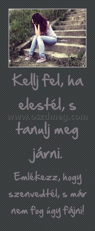 Kellj fel, ha elestél, s tanulj meg járni. Kellj fel, ha elestél, s tanulj meg járni.
Emlékezz, hogy szenvedtél, s már nem fog úgy fájni!