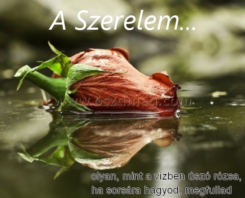 A Szerelem...
 
A Szerelem...